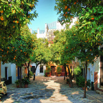barrio de santa cruz en sevilla