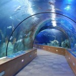 Acuario de Sevilla